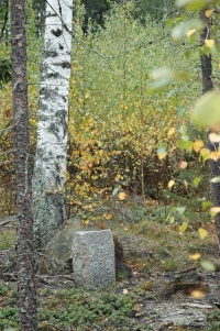 Tiedosto:200px-Hauta toramaessa.jpg