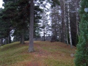 Tiedosto:180px-Tenholan linnavuori 2.jpg