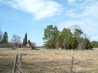 Tiedosto:Rautakauden kaappia.jpg