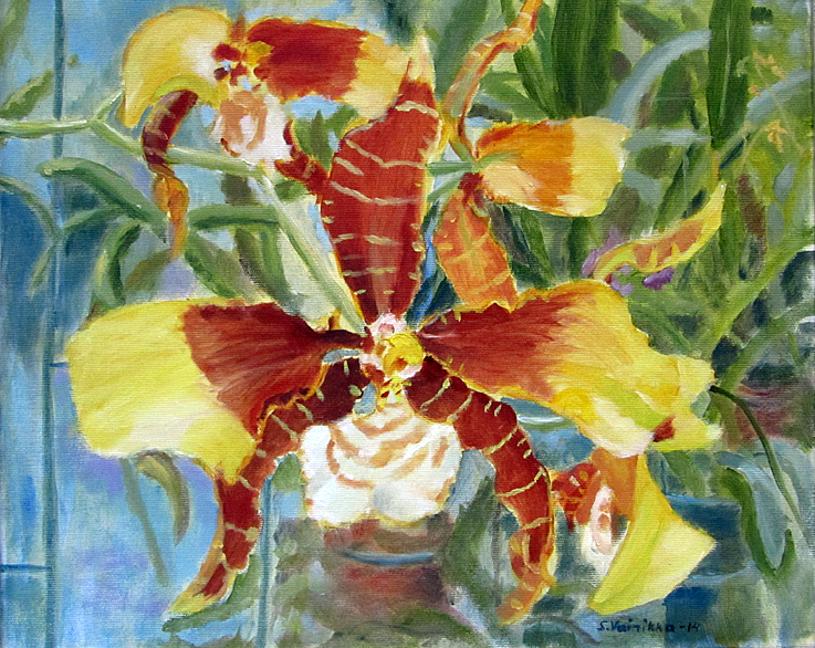 Tiedosto:Seija Vainikka, Keltainen orkidea, oljy edited-1.jpg
