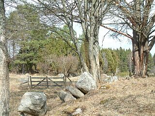 Tiedosto:Monaalan laidun2.jpg