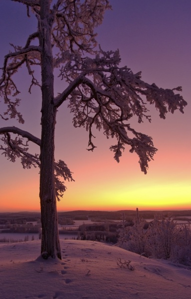 Tiedosto:383px-Kelo Hakoisten linnavuori Janakkala.jpg
