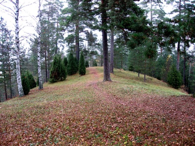 Tiedosto:400px-Tenholan linnavuori.jpg