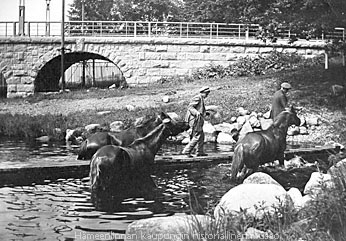 Tiedosto:20100524114318!Viiptie silta hevoset n-ton.jpg