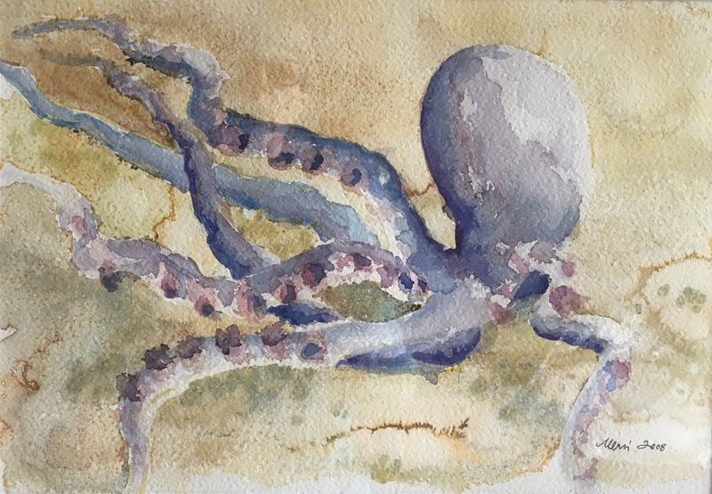 Tiedosto:Mervi Turtiainen, Mustekala! 2008, akvarelli, .jpg