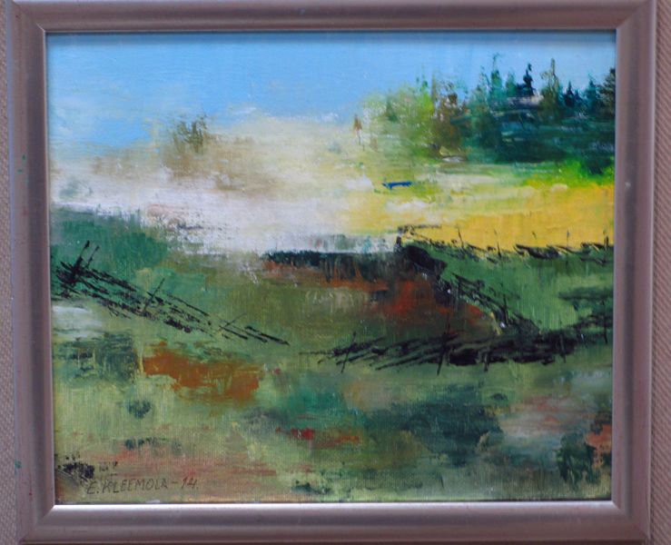 Tiedosto:Erkki Kleemola usvaa.JPG