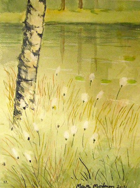 Tiedosto:Martti Moilanen, Niittyvillat.jpg