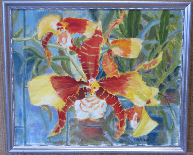 Tiedosto:Vainikka Seija orkidea.JPG