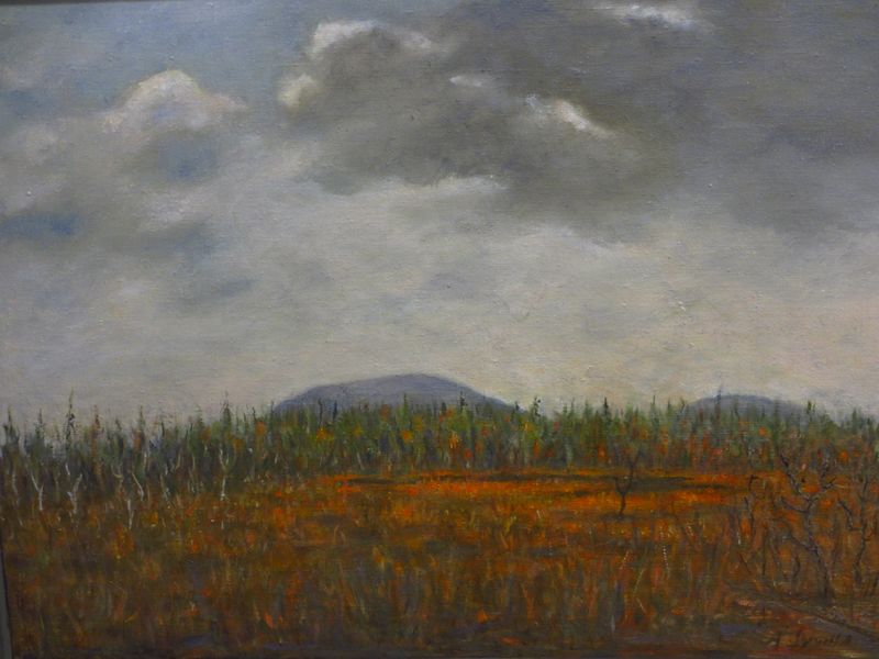 Tiedosto:SS Annikki kohtasataa.JPG