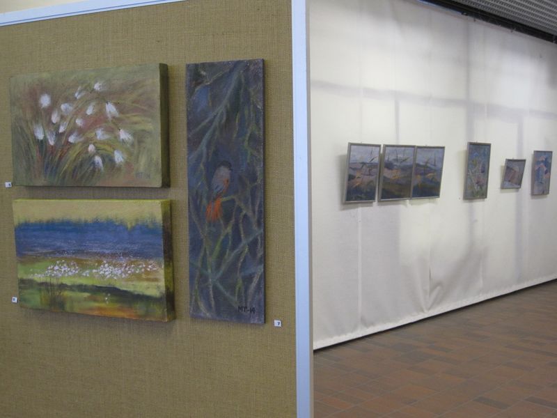 Tiedosto:Nayttely2014Kirjasto 105.jpg