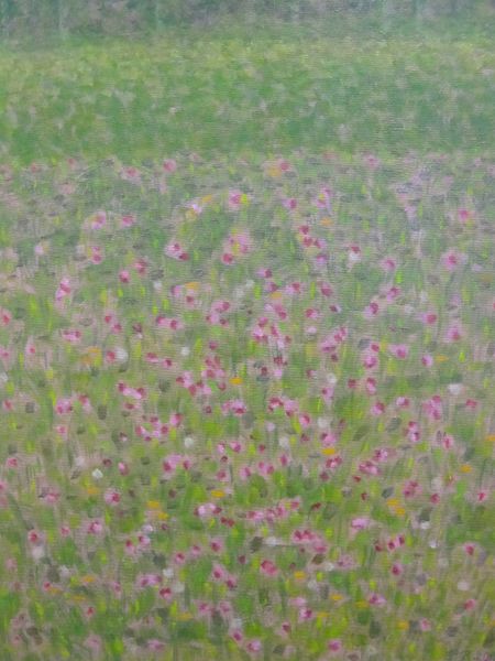 Tiedosto:Paivi Kurronen, Ailakkiniitty, oljyvari.jpg