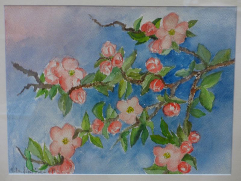 Tiedosto:Eila Lehtinen omenapuu kukkii.JPG