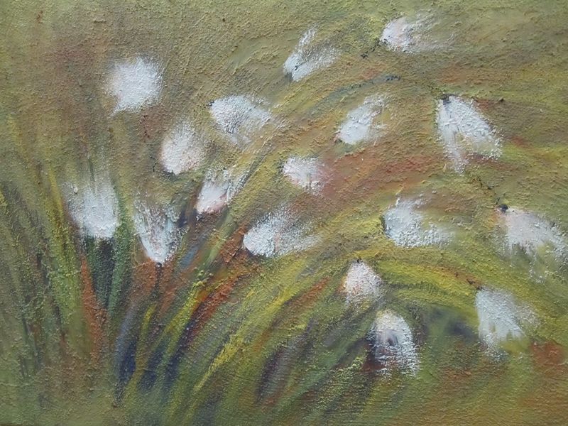 Tiedosto:Mervi Turtiainen, Tupasvillat, oljyvari, hiekka.jpg