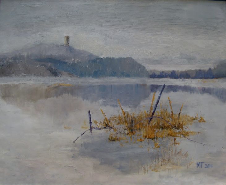 Tiedosto:Mervi Turtiainen Nakyma Aulangonjarvelta.JPG