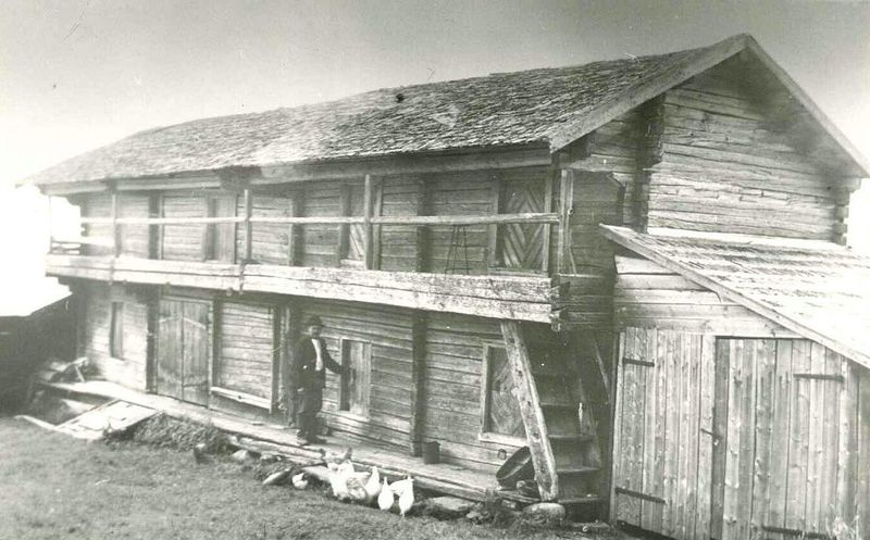 Tiedosto:Maasillan aitta Ylanteella.JPG