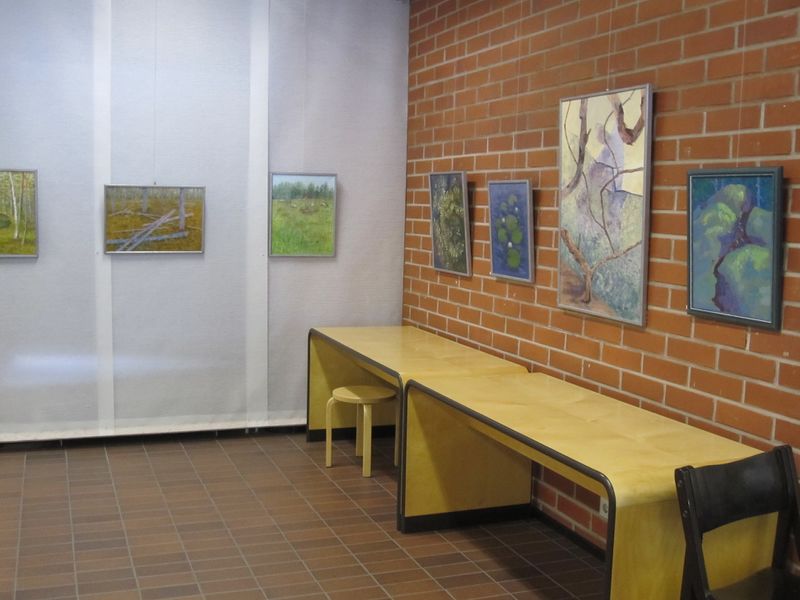 Tiedosto:Nayttely2014Kirjasto 100.jpg