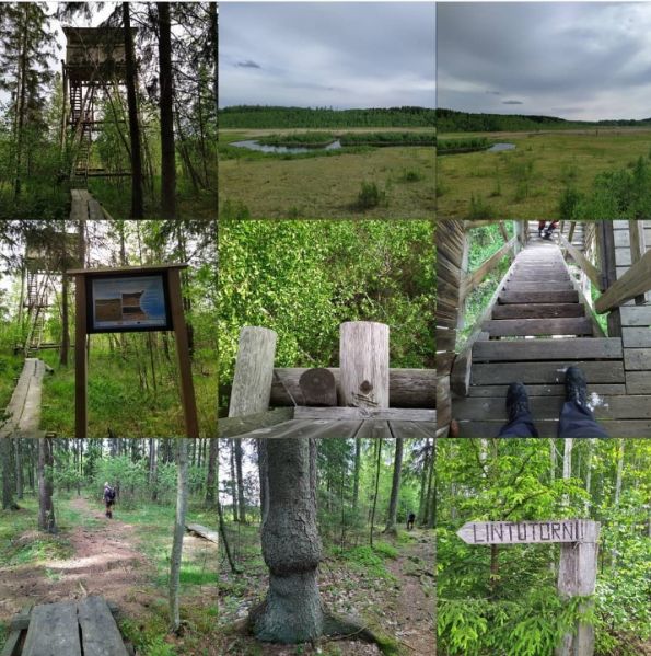 Tiedosto:Toivanjoki kesakuu2020.jpg