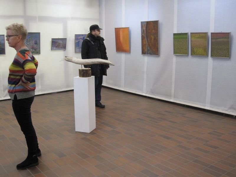 Tiedosto:Nayttely2014Kirjasto 101.jpg