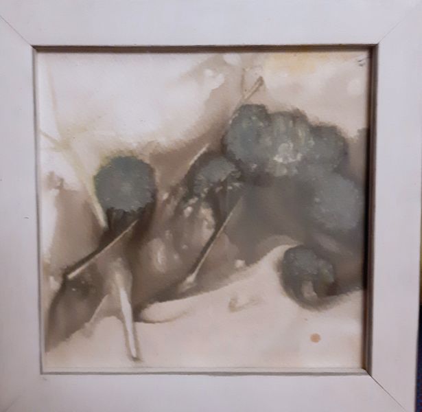 Tiedosto:Aira Valimaa Kasveista sattumia.jpg