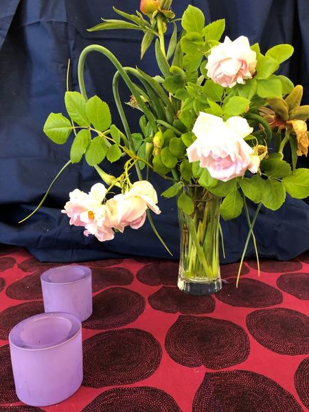 Tiedosto:10072022 2.jpg