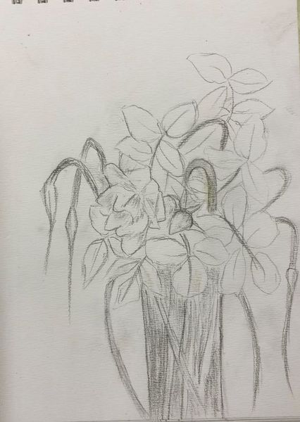 Tiedosto:10072022 9.jpg