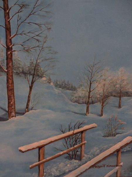 Tiedosto:MT Kanerva talvimaisema.JPG