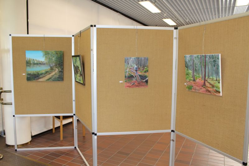 Tiedosto:Häme taideartteli 2017 yleiskuva 9.JPG