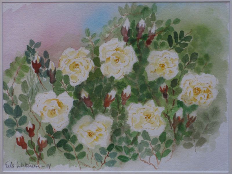 Tiedosto:Eila Lehtinen juhannusruusut.JPG