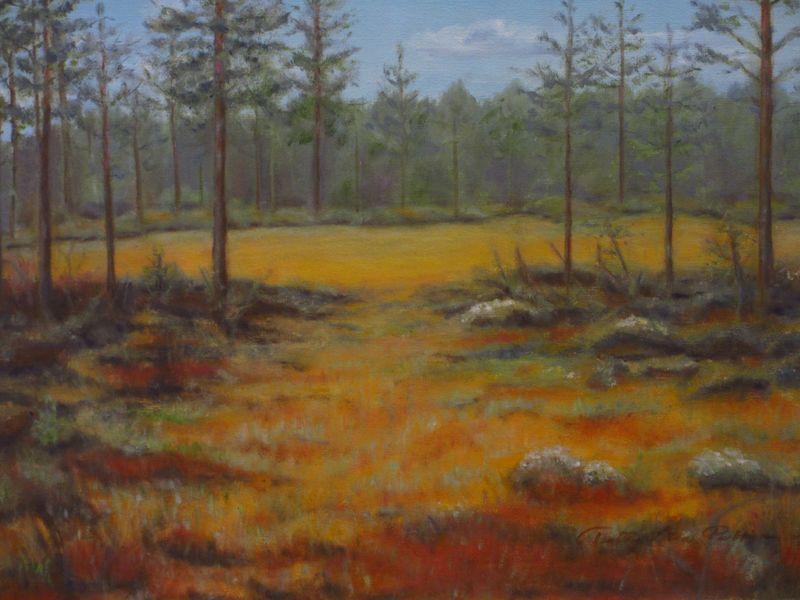 Tiedosto:Pullinen TL polunpaassa.JPG