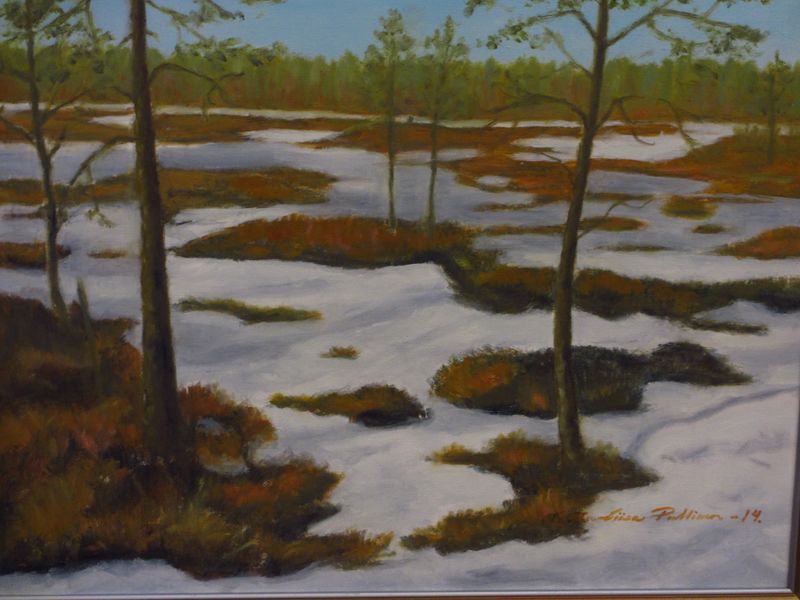 Tiedosto:Pullinen TL tientakana.JPG