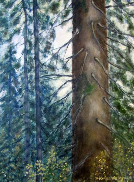 Tiedosto:Yrjo KortelainenAulangolta kesalla.jpg