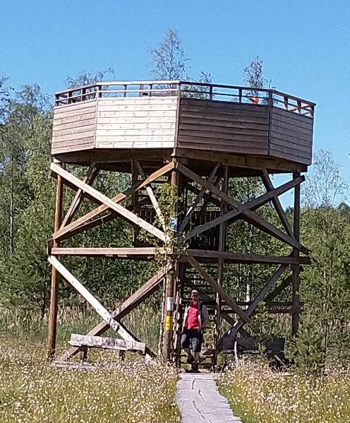 Tiedosto:Luulionlahti kesakuu2019.jpg