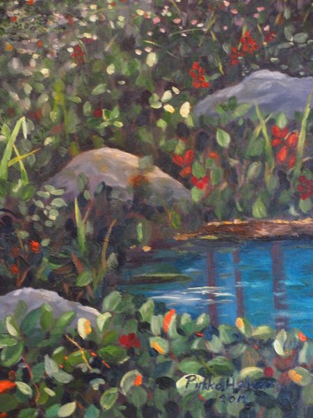 Tiedosto:Pirkko Halvari heijastuslammella.JPG