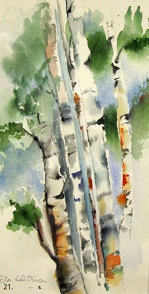 Tiedosto:Eila Lehtinen, Viisi koivua, akvarelli.jpg