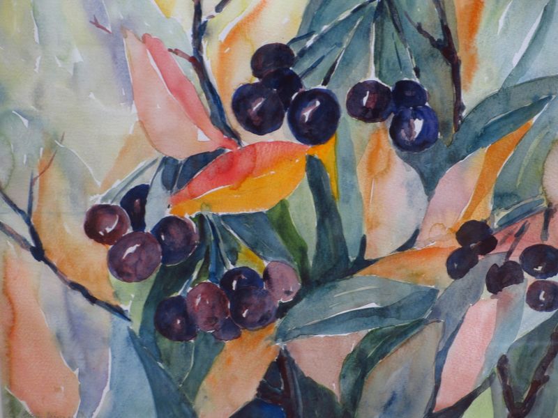 Tiedosto:Kaija Jarvinen marjaaroniat.JPG