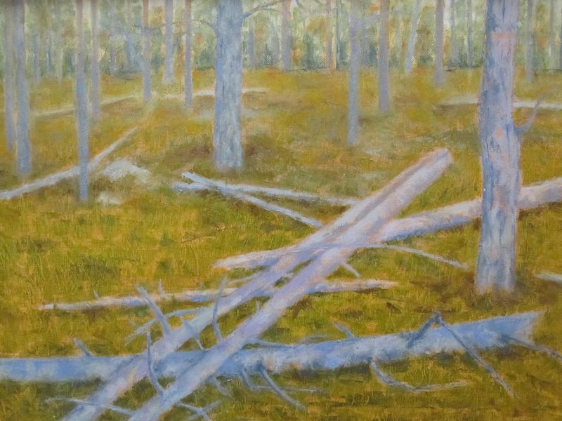 Tiedosto:Paivi Kurronen, Lapin kosketus, oljyvari.jpg