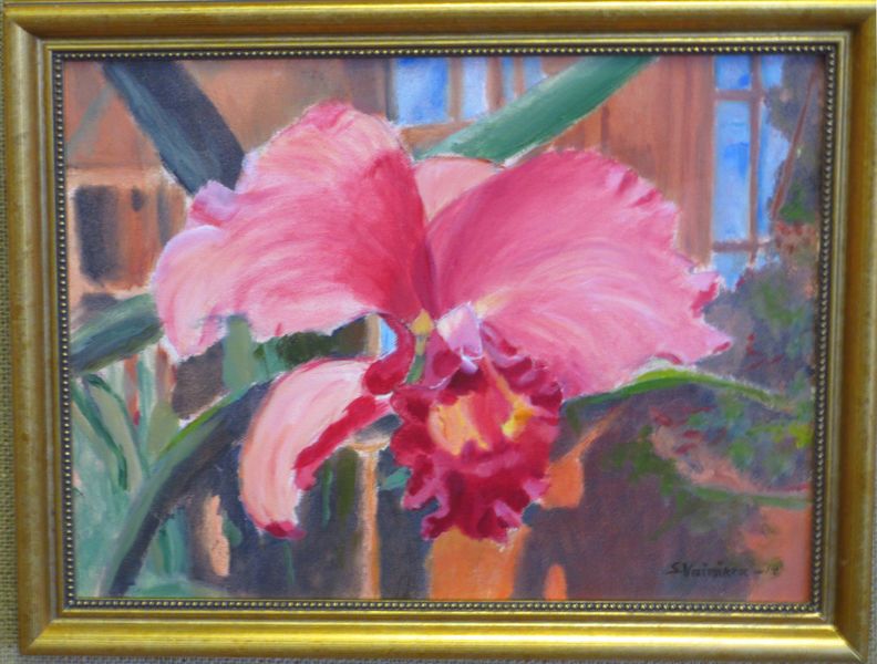 Tiedosto:Vainikka Seija punainen orkidea.JPG