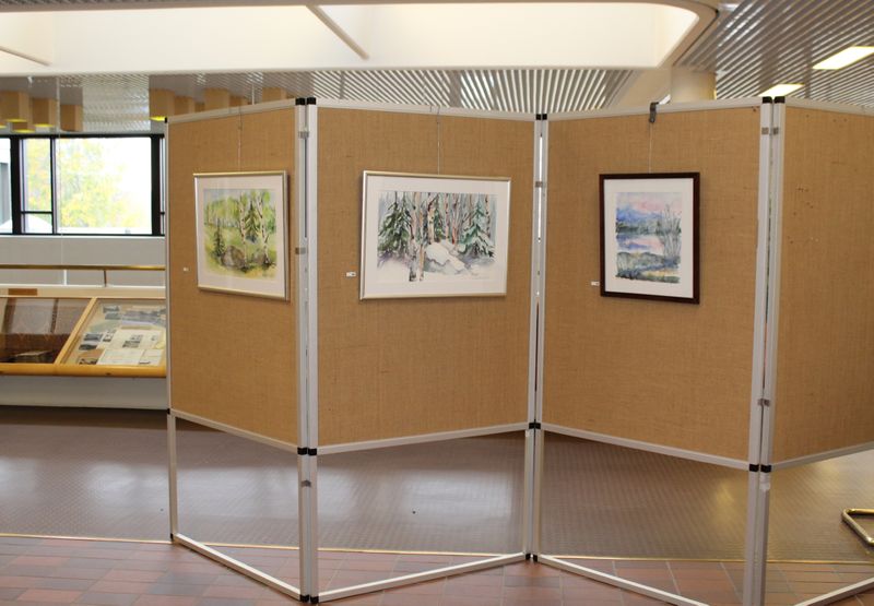 Tiedosto:Häme Taideartteli 2017 yleiskuva 30.JPG