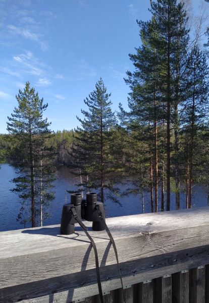 Tiedosto:Kajasteen maisematorni 3.jpg