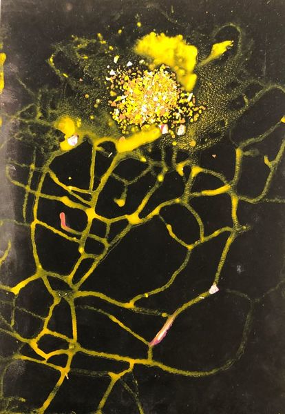 Tiedosto:10072022 7.jpg