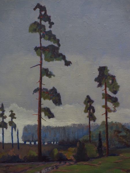 Tiedosto:Mervi Turtiainen nakyma toukolasta.JPG