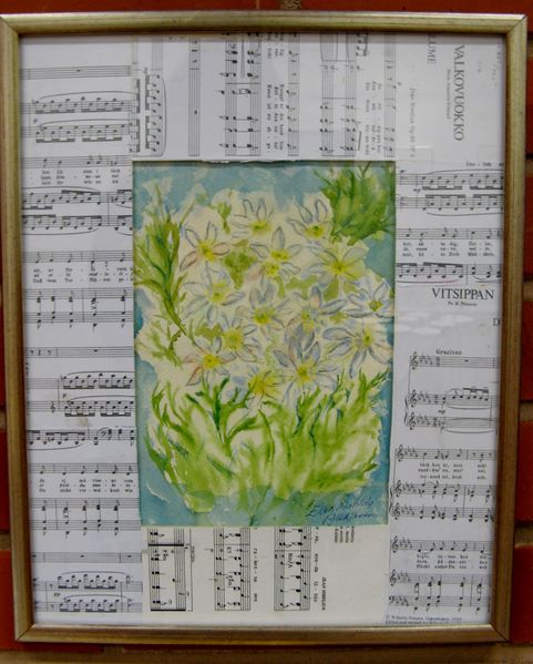 Tiedosto:Ellen Pylkkanen Kevaan anemonet.JPG