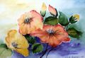 Maalaus Riitta Stuck-Koskinen, akvarelli kukkia