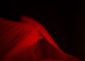 valokuvassa lähikuva punaisen kukan terälehdestä