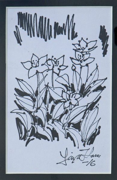 Tiedosto:028. Sinikka Kava, Parvitulppaaneja.jpg