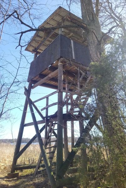 Tiedosto:Jalavaniemi 2026.jpg