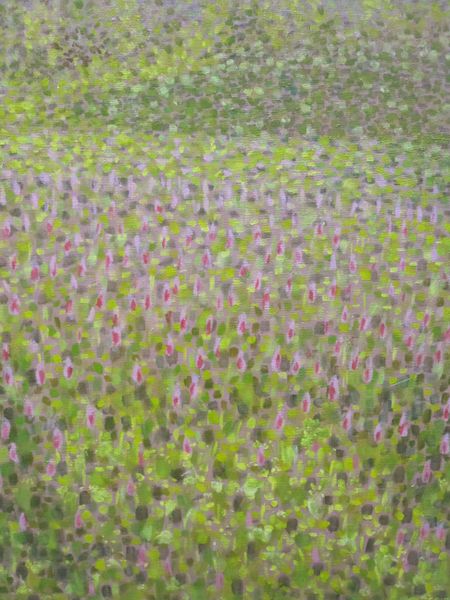 Tiedosto:Paivi Kurronen, Horsmaniitty, oljyvari.jpg